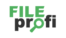 FileProfi - профессиональное восстановление данных в Биробиджане